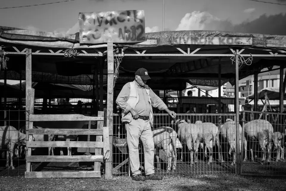 Your Local Roadside Partner in Enchanted Hills, NM — Enchanted Hills, NM